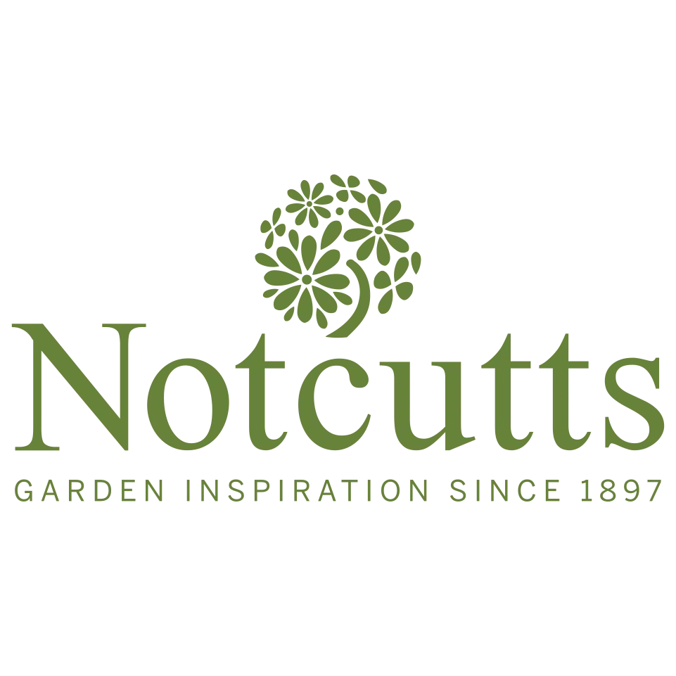 Not Cutts